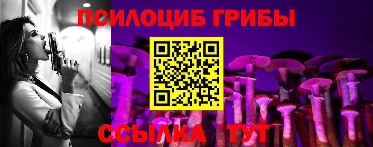 Псилоцибиновые грибы мицелий Янаул
